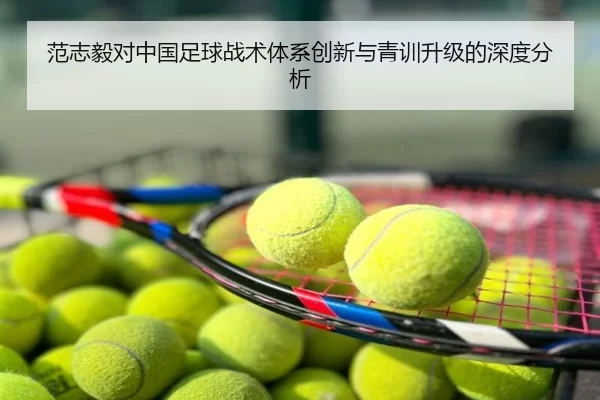 范志毅对中国足球战术体系创新与青训升级的深度分析